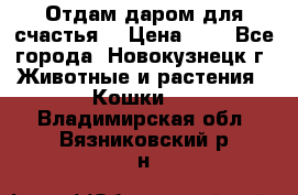 Отдам даром для счастья. › Цена ­ 1 - Все города, Новокузнецк г. Животные и растения » Кошки   . Владимирская обл.,Вязниковский р-н